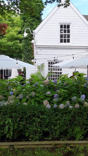 Rocco DiSpirito Instagram - Come enjoy the Al fresco service at @il_pellicano_southampton @resy @kykylc 

#food #hamptons #seafood #italian #local #cocktails #terrace #alfresco #cheflife #foodnetwork #tuna #oysters #rawbar #lounge