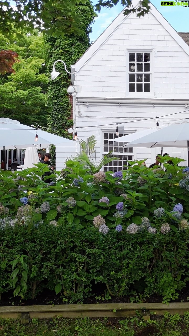 Rocco DiSpirito - 277 Likes - Come enjoy the Al fresco service at @il_pellicano_southampton @resy @kykylc
#food #hamptons #seafood #italian #local #cocktails #terrace #alfresco #cheflife #foodnetwork #tuna #oysters #rawbar #lounge