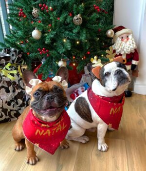 Rodolfo Valente Instagram - Feliz Natal! ❤️🎅🎄