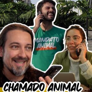Rodrigo Dorado Instagram - 🌟 Mais de 20 mil pessoas acreditam no Mandato Animal em 2022 e foram às urnas por essa causa! 🌟

🐾 Incontáveis animais precisam que nossa luta chegue ao poder público. Agora é a hora de nos unirmos e transformarmos o futuro e o presente daqueles que necessitam de nós para serem escutados. 🐾

💪 @RodrigoDorado é nosso representante nessa luta nessas eleições, que começou anos atrás e não pode acabar. 💪

🙏 @monicabuava7 e @Fabiochaves, graças à determinação, vontade e ativismo de vocês, seguimos na luta. 🙏

✨ É tempo de mudança. Junte-se a nós. Seja um voluntário e faça a diferença! ✨

#MandatoAnimal #CausaNobre #JuntosPelosAnimais #Voluntariado #MudançaAgora #AtivismoAnimal 🐶🐱🐱