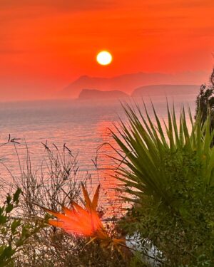 Romina Power Instagram - Vogliamo preservare la Puglia dagli incendi continui OGNI anno? Vogliamo veramente amare la terra e gli animali ?  L’unico fuoco dev’essere al tramonto , nel cielo. Della terra, invece dobbiamo tutti avere molta piu’ cura 🙏