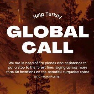 Ruhi Sarı Instagram - 🚨I am calling all the countries who can help us. We are perished and devastated with the total 112 fires. The ones that we can’t stop are still going so strong. We dont have enough fire fighting planes to stop it. We lost 8 people, so many animals and our forests. Please help us!!!!! We need planes urgently. We only have 1 world. #helpturkey 

🚨Bize yardım edebilecek tüm ülkelere seslenmek istiyorum. 112 adet yangın sebebiyle perişan ve harap olduk. Halen devam etmekte olan yangınlar çok güçlü. Bunları söndürmeye yetecek adette uçağımız yok. 8 insanı, sayısız hayvanı ve ormanlarımızı kaybettik. Lütfen bize yardım edin. Sadece 1 dünyamız var. #helpTurkey