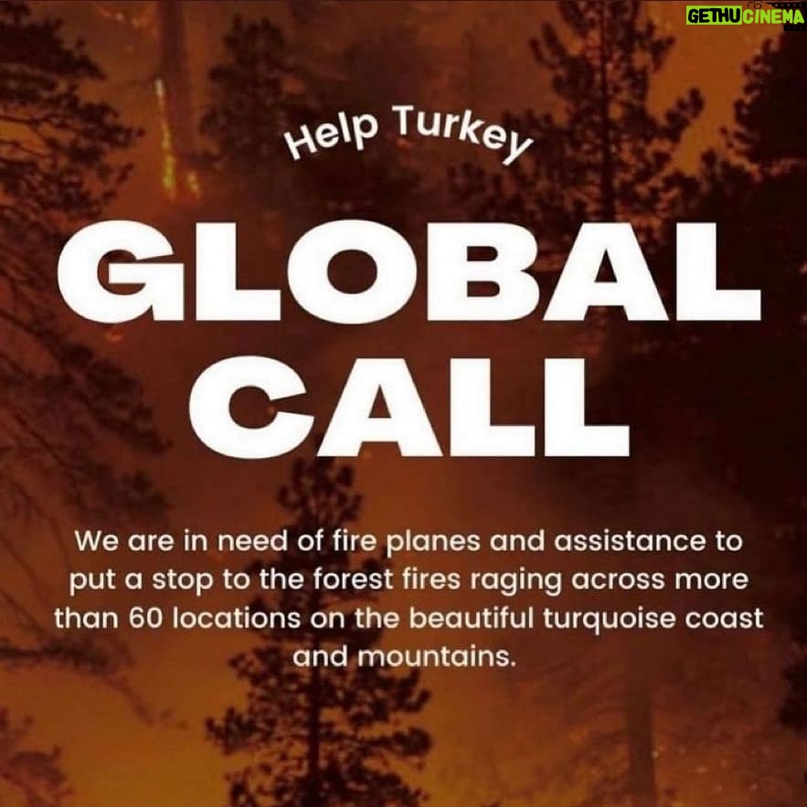 Ruhi Sarı - 798 Likes - 🚨I am calling all the countries who can help us. We are perished and devastated with the total 112 fires. The ones that we can’t stop are still going so strong. We dont have enough fire fighting planes to stop it. We lost 8 people, so many animals and our forests. Please help us!!!!! We need planes urgently. We only have 1 world. #helpturkey
🚨Bize yardım edebilecek tüm ülkelere seslenmek istiyorum. 112 adet yangın sebebiyle perişan ve harap olduk. Halen devam etmekte olan yangınlar çok güçlü. Bunları söndürmeye yetecek adette uçağımız yok. 8 insanı, sayısız hayvanı ve ormanlarımızı kaybettik. Lütfen bize yardım edin. Sadece 1 dünyamız var. #helpTurkey