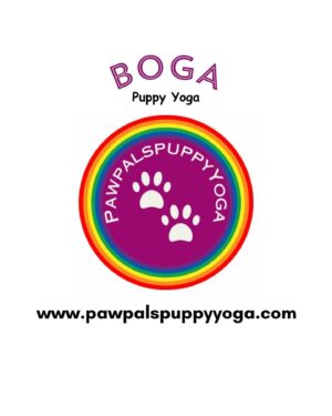 Ryan Boa Instagram - More BOGA press🧘🏼‍♀️

Beyond grateful to be able to merge my love for drag and wellness together with this new journey that I’ve been on! Having an amazing group of people who believe in me and support me is something I could only pray for! A special thank you to @adoary for helping me get my message of love, self care, and wellness out to the world and for always cheering me on💖

This thrilling and rewarding ride has been filled with a plethora of emotions, questions, and self-reflections. I’ve had to close doors that no longer served me, only to find even more abundant opportunities that align with my vision and purpose opening up🌿

Thank you to everyone who has been believing in me, supporting me and helping me achieve my dreams! I live such an amazing life and am so glad I get to share it with all of you!🤸‍♀️

Swipe through or check out the link in my bio to see where you can come to a BOGA class and get well with me✨

#torontolife #drag #dragrace #rpdr #canadasdragrace #dragmakeup #pride #yoga #torontolifestyle #yogateachers #yogatoronto