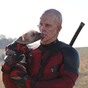 Ryan Reynolds Instagram - Peggy. Dogpool. Mary Puppins. She goes by many names. She’s obviously a very special cast member. What many don’t know, is that she was also the Intimacy Coordinator on #DeadpoolAndWolverine. Which was a complete disaster, start to finish. 

What kind of Intimacy Coordinator says hello each morning by hurling her leathery, 32 inch tongue into your throat and down to the bottom of your stomach?  But I think the biggest problem is that she’s a fucking dog. 

But I love this dog almost as much as she loves tasting me. She’s a good girl.  @dogpool