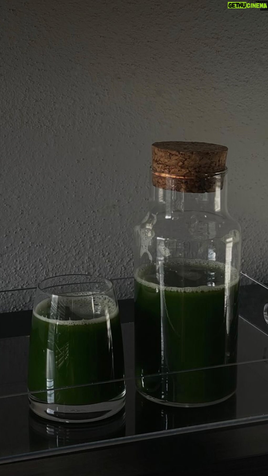 Rym Nebbak - 3 Likes - GLOWJUICE - Potion magique (!!!) 🍏🍋🥬🥒🍍🫚
C’est un cocktail frais de plein de bonnes choses | aide ton hydratation, booste ton énergie & détoxifie ton corps! Ça aide à avoir une plus belle peau, des beaux cheveux, des beaux ongles, sans oublier tous les bienfaits généraux que ça apporte à ton corps 🍂
Il contient des électrolytes, des antioxidants et un paquet de vitamines AMAZING 🧚🏼
Ingrédients :
1 pomme verte
1 citron entier
3 branches de céleri
1 rondelle d’ananas
1/2 concombre
1 poignée de chou kale
1 morceau de gingembre
1 poignée d’épinards
Tu mix tous les aliments dans un robot mélangeur avec de l’eau à moitié remplie.
Je le consomme 3x/semaine!
GLOWING ✨
#glowjuice #greenjuice #jusvert #detox #vitamins #electrolytes #hydratation #healthyskin #healthyhair #healthynails #antioxidants
