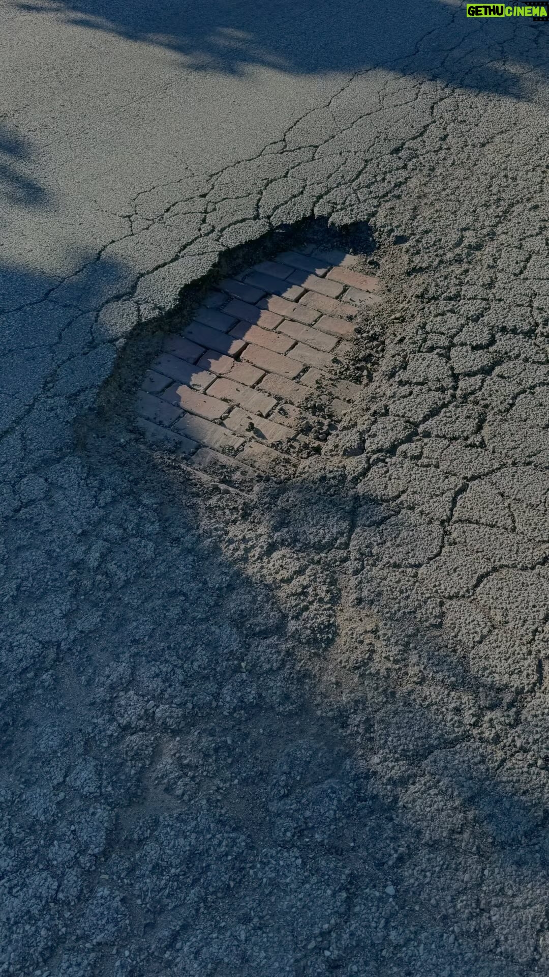 S. Dilla Thomas - 2.6K Likes - Even the potholes in Chicago got history š¤·š¾āāļøšš