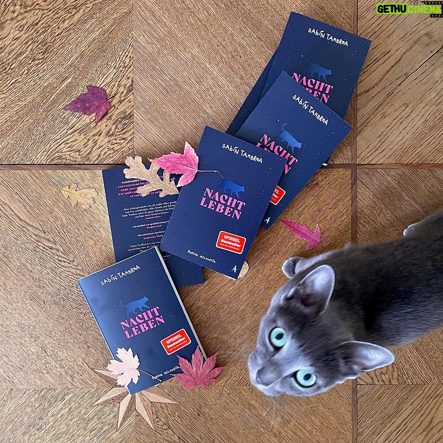 Sabin Tambrea - 4.6K Likes - #Nachtleben gibt es jetzt auch als Taschenbuch! (Verlosung leider schon abgeschlossen: 6 Exemplare verschicke ich gerne mit Herbstblatt und Widmung, aber ohne (!) Katze. Einfach Kommentieren, heute Abend entscheidet das Los und morgen gehen die Sendungen pünktlich zum Valentinstag raus, so denn die Post wieder reibungslos zustellt.) Und da ich mit meinem Freund @johannvonbuelow nicht nur gemeinsam habe, dass wir zufällig die gleichen Klamotten tragen, sei euch auch sein #debütroman #Roxy ans Herz gelegt, der am 14.2. erscheint - Toitoitoi für die Veröffentlichung! Habt einen wundervollen Sonntag, ich hoffe, die Wahlschlangen in Berlin sind lang. Xs .
.
.
.
.
#Nachtleben, erschienen bei @atlantikverlag @hoffmannundcampeverlag | #Roxy erscheint beim
@rowohltverlag
