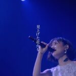 Sakurako Ohara