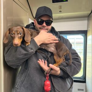 Salvatore Esposito Instagram - L'estate sta arrivando ed io e Lola volevo raccomandarvi/intimarvi di avere cura dei vostri animali domestici e di NON ABBANDONARLI !!! Non solo perché è un REATO ma anche perché è come se  ammazzaste degli amici fedeli con cui avete condiviso tante cose e che non vi hanno mai tradito . Se proprio dovesse nascere dentro di voi questo bisogno provate a lasciarlo a qualche amico\parente che potrà dargli l'amore di cui hanno bisogno oppure ad uno dei tanti rifugi/canili che potrete trovare nelle vostre zone . Questo messaggio spero possa arrivare a tanti e se dovesse capitarvi di vedere qualcuno che abbandona o maltratta gli animali DENUNCIATE in attesa che anche in Italia i nostri amichetti pelosi non vengano considerate più SOLO delle cose !!! ❤️