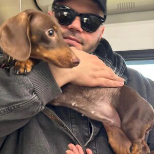 Salvatore Esposito Instagram - L'estate sta arrivando ed io e Lola volevo raccomandarvi/intimarvi di avere cura dei vostri animali domestici e di NON ABBANDONARLI !!! Non solo perché è un REATO ma anche perché è come se  ammazzaste degli amici fedeli con cui avete condiviso tante cose e che non vi hanno mai tradito . Se proprio dovesse nascere dentro di voi questo bisogno provate a lasciarlo a qualche amico\parente che potrà dargli l'amore di cui hanno bisogno oppure ad uno dei tanti rifugi/canili che potrete trovare nelle vostre zone . Questo messaggio spero possa arrivare a tanti e se dovesse capitarvi di vedere qualcuno che abbandona o maltratta gli animali DENUNCIATE in attesa che anche in Italia i nostri amichetti pelosi non vengano considerate più SOLO delle cose !!! ❤️