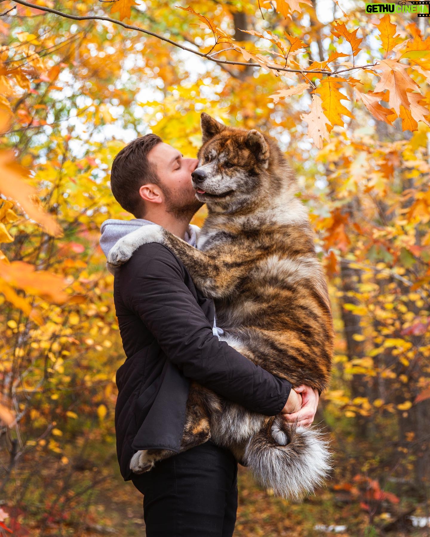 Sam Breton - 10.8K Likes - Amour d’automne🍁
.
.
Photo @teamgsd_etco