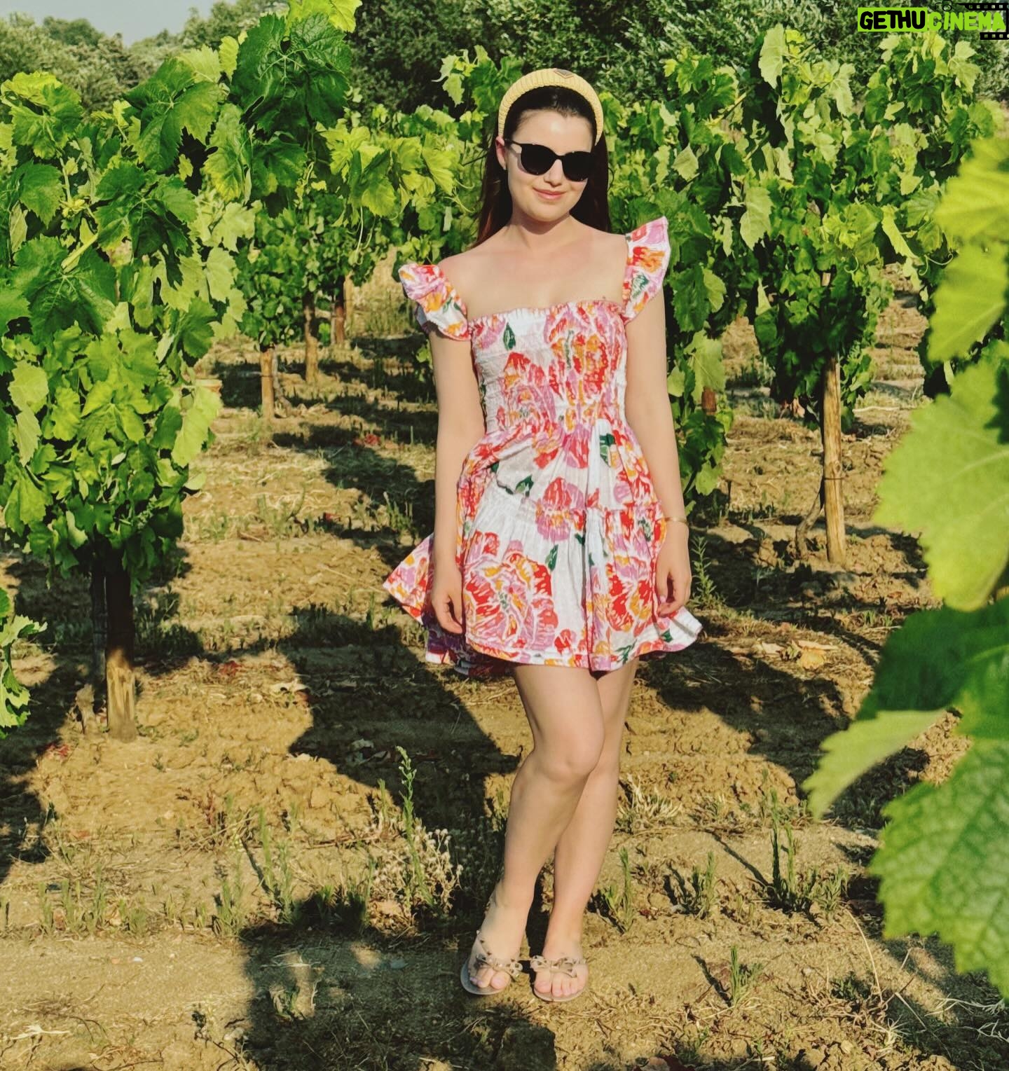 Sami Gayle - 4.1K Likes - Happy 4th from the Douro Valley 🍇