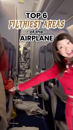 Sandra Kwon Instagram - Actually the last one still might be cleaner than some of the others 😂🥲 #filthyplane #plane #cabincrewlife