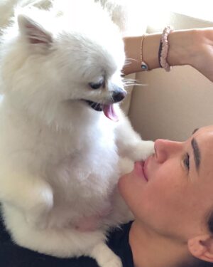 Sanela Diana Jenkins Instagram - My Pearl  My Love My Joy  My light My best friend  My baby  For 9 beutiful years we lived in Pearls world and it was magnificent. I have no words to describe pain and agony we feel right now after saying our last goodbye .  If there is after life or forever or eternity somewhere we will find you there again our angel . we love you to infinity and beyond and to say we will miss you doesn’t even begin to describe what we feel right now 💔