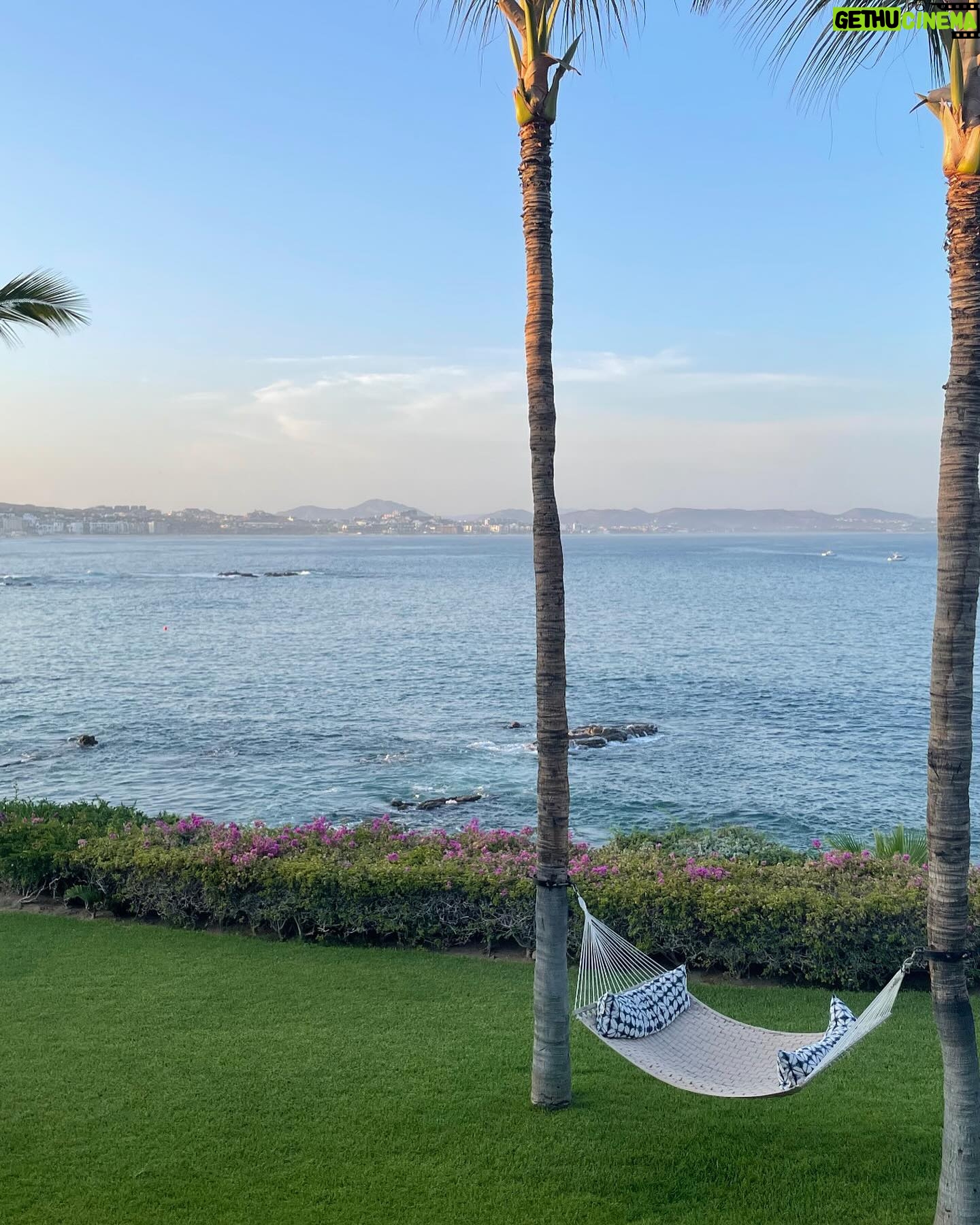 Sara Paxton - 3.8K Likes - July ‘24 🦎🌵🌊☀️