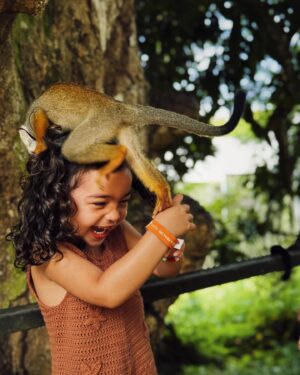 Sara Prata Instagram - Los Monos ♥️
Eu nem sei qual a foto (por favor escolham vocês) que melhor descreve a felicidade desta miúda com animais. E OMG, macaquinhos pequeninos foi felicidade pura. 

Este pedaço de terra perto de El Limón tem mais de 2 hectares e nele vivem livremente várias famílias de macacos-esquilo. São meigos e inteligentes e com o tempo ficaram acostumados ao contacto com humanos. E assim ao passearmos por ali eles vão descendo das árvores, sentam-se em cima de nós, pulam e brincam e comem das nossas mãos. É um assunto sensível para mim (não visito nem alimento negócios que envolvam exploração animal, mas aqui percebi que eles vivem por ali com espaço e felizes e o máximo que lhes fazemos é levar belos pedacinhos de papaia e banana.) 
Este é o resultado desta deliciosa macacada 😂