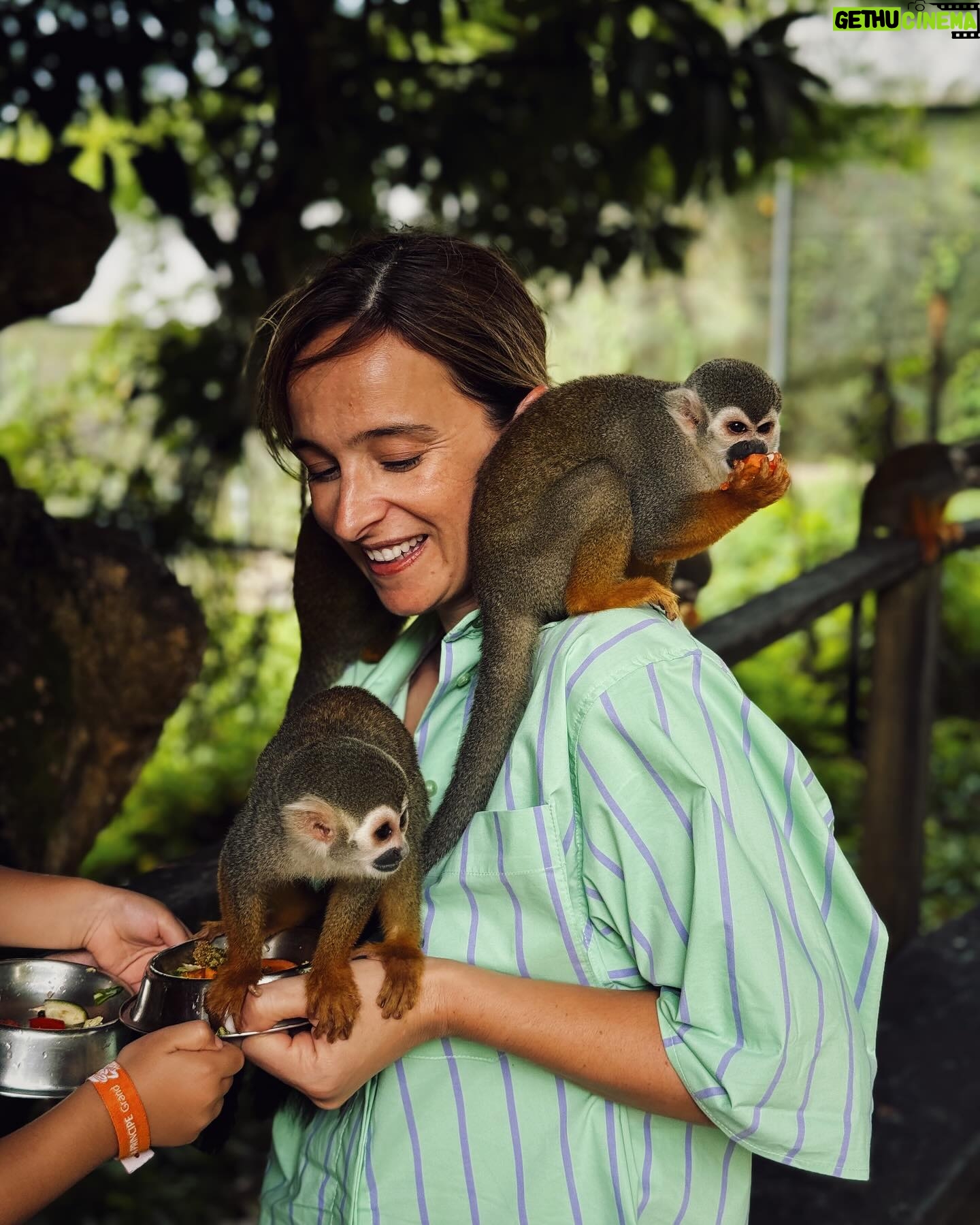 Sara Prata - 28.9K Likes - Los Monos ♥️
Eu nem sei qual a foto (por favor escolham vocês) que melhor descreve a felicidade desta miúda com animais. E OMG, macaquinhos pequeninos foi felicidade pura.
Este pedaço de terra perto de El Limón tem mais de 2 hectares e nele vivem livremente várias famílias de macacos-esquilo. São meigos e inteligentes e com o tempo ficaram acostumados ao contacto com humanos. E assim ao passearmos por ali eles vão descendo das árvores, sentam-se em cima de nós, pulam e brincam e comem das nossas mãos. É um assunto sensível para mim (não visito nem alimento negócios que envolvam exploração animal, mas aqui percebi que eles vivem por ali com espaço e felizes e o máximo que lhes fazemos é levar belos pedacinhos de papaia e banana.)
Este é o resultado desta deliciosa macacada 😂
