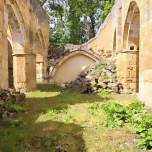 Sara Rubayo Instagram - Este fin de semana he recorrido los sitios de la orden monástica de Cluny ✝️ de la provincia de Palencia✨️ para la candidatura de Patrimonio de la Humanidad y no sé con qué sitio quedarme! Con cuál te quedas tú?

🏰1 y 2 Monasterio Nogal de las Huertas, que está en ruinas y eso hace que sea un lugar por descubrir y soñar

⛪️3 y 4 San Martín de Frómista y su misterioso capitel que nadie sabe bien qué significa 

⛪️5 y 6 Iglesia Templaria Santa María la Blanca en Villalcázar de Sirga (esta no es de Cluny pero la visitamos igualmente porque es divina)

⛪️7 Iglesia de Santa María de Mave

🏰8, 9 y 10 Claustro del Monasterio San Zoilo Carrión de los Condes que este sí que es Cluny pero del bueno

Ahora bien, quieres saber más sobre la orden monástica de Cluny?🤓

@palenciaesturismo 
@diputacionpalen 
@clunyiberica