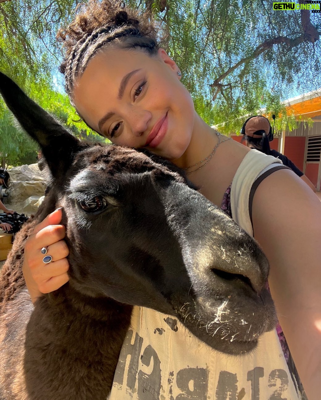 Sarah Jeffery - 3 Likes - the cuddliest llama named Skip 🦙