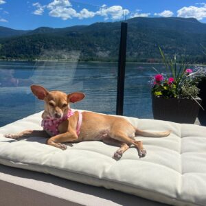 Sarah Jeffery Instagram - on lake time 🍦🌸🐌