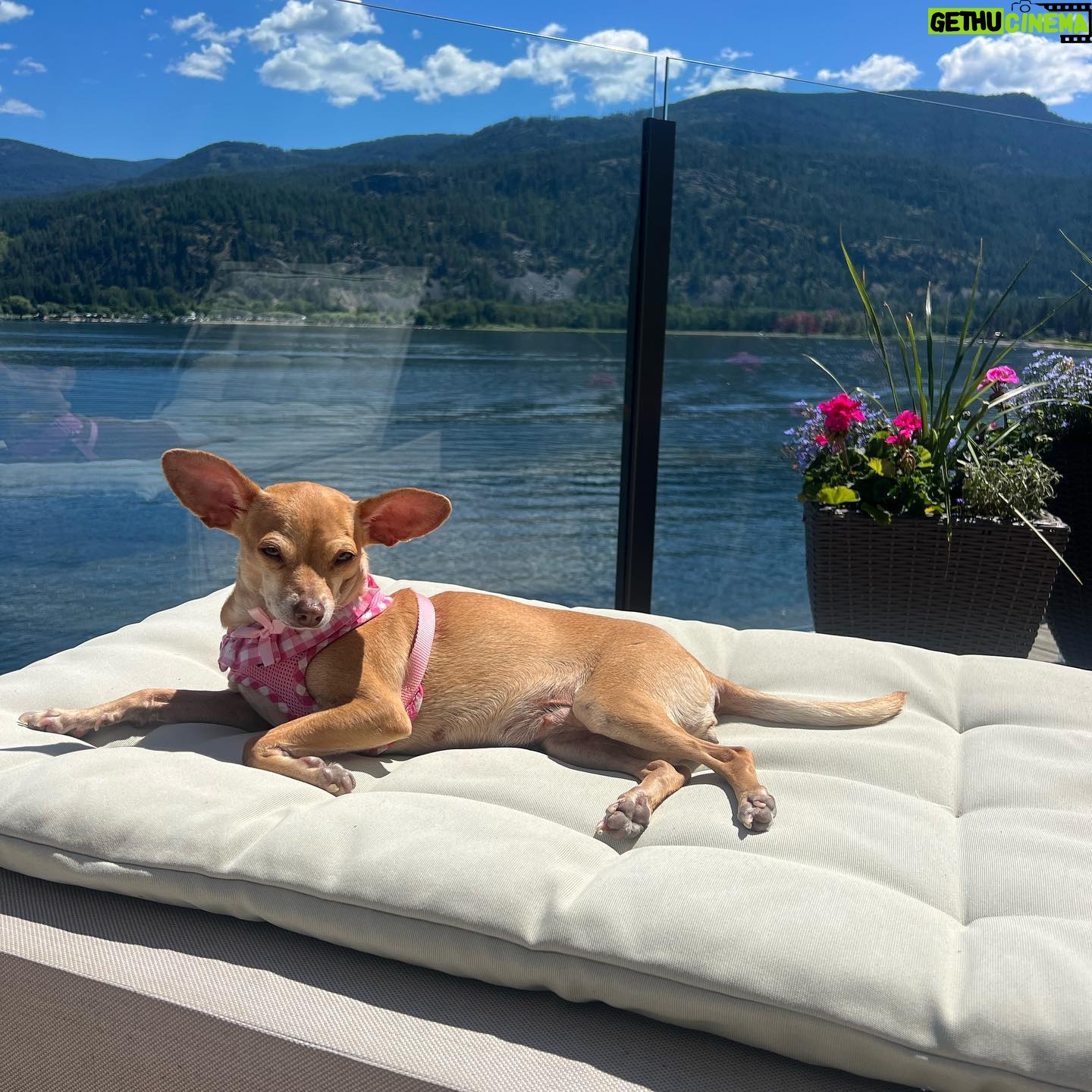 Sarah Jeffery - 3 Likes - on lake time 🍦🌸🐌