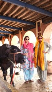 Actress Sargun Mehta HD Instagram Photos and Wallpapers July 2024