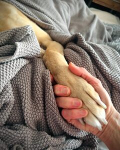 Sarma Melngailis Top 100 Instagram Photos and Posts