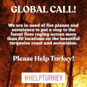 Sarp Can Köroğlu Instagram - Turkey's forests are burning for the last 7 days and we don't have enough fire fighting planes to stop it. we lost so many people, homes and animals. this is a global call please help Turkey  #globalcall #weneedyou #helpturkey