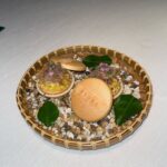 Sarunchana Apisamaimongkol