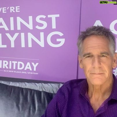Scott Bakula - 3.6K Likes - I’m proud to celebrate @glaad ‘s annual #spiritday today and join the stand against bullying.
#LGBTQ #CBS #ncisneworleans
www.glaad.org/spiritday