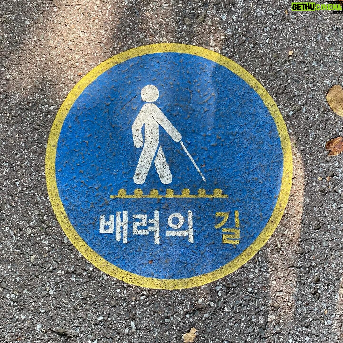 Sean - 14.5K Likes - 🇰🇷잘될거야,대한민국!
2025년 광복 80주년
6번째 81.5km 감사편지를 쓰기 위해 준비 시작!
‘누군가는 해야 할 일이기에’
D-363