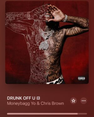 Sean Kingston Instagram - Blessed to be apart of @moneybaggyo new album 💿 “Speak Now!!” #8 “Drunk off you” Feat @chrisbrownofficial  Written ✍️ BY ME!! 🔥 out now!!