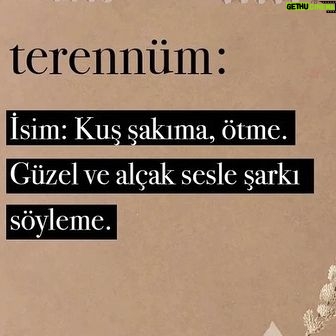 Şebnem Sönmez - 714 Likes - Sevgili arkadaşlar;
Canımız cız ediyor hala, yanığı uzun sürecek biliyoruz.
Bir Terennüm oyunumuzu büyük kayıplarımızı yaşarken dura kalka, düşe kalka çıkardık.
Bize büyük dersler verdi sürecimiz.
Bildiklerimizi tarttık, bazılarını attık, bazılarını aldık, başka gözlere akıl danıştık, sözünü esirgemeyen herkesi dinledik, sözümüzü özünden güçlendiren her ana şükran duyduk.
İnsanların ortasında konuşmaya hep çekindim, utangaç biriyim.
Yarı gölgeden fısıldamak bana hep daha yakın gelir, rahat ederim.
Minnet duyarak teşekkür edeceğim insanları size buradan sunmak isterim.
@ipekturktan olmasaydı @orchestratheatre kuramazdım 🙏
@iskit_tolga cevheri kendi olan bir oyuncu 🤍
@gulhankadim zarafetli, incelikli, keskin aklını derin gönlüne eş edebilen bir rejisör 🤍
@firuzengin gizil gücü kendi olabilen, her zaman çalışmak isteyeceğim bir yazar 🤍
@ilaydasaran cemre gibi düşen, cemre düşüren bir sahne tasarımcısı 🤍
@sagir_ismail ışığını hiçbirimizin üstünden almasın 🤍
@burcakcollu besteleri terennümümüzün incecik derinliği 🤍
@bukeaksehirli sana ne desem az, ne desem yetmez, ya olmasaydın!
@orchestracontent böyle bir dönemde şövalyeliğe soyunan, müthiş desteğimiz 🤍
Yapamadıklarımız için suçluluk duymayalım ne olur!
Yapabildiklerimiz bizi birbirimize bağlayacak 🤍
Sevgi ile terennüm olsun köprümüz 🤍