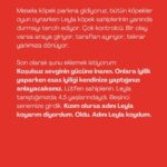 Seda Türkmen