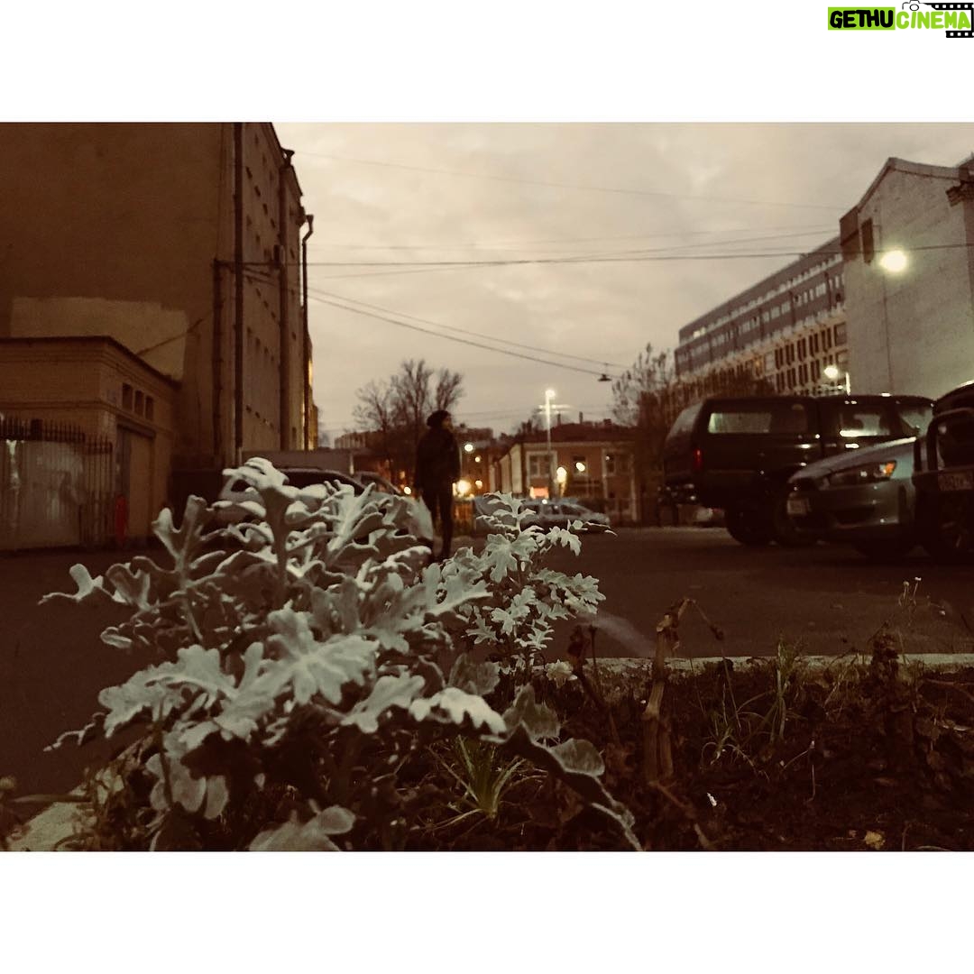 Semyon Treskunov - 14K Likes -