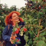 Sera Kutlubey