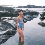 Serena Fang