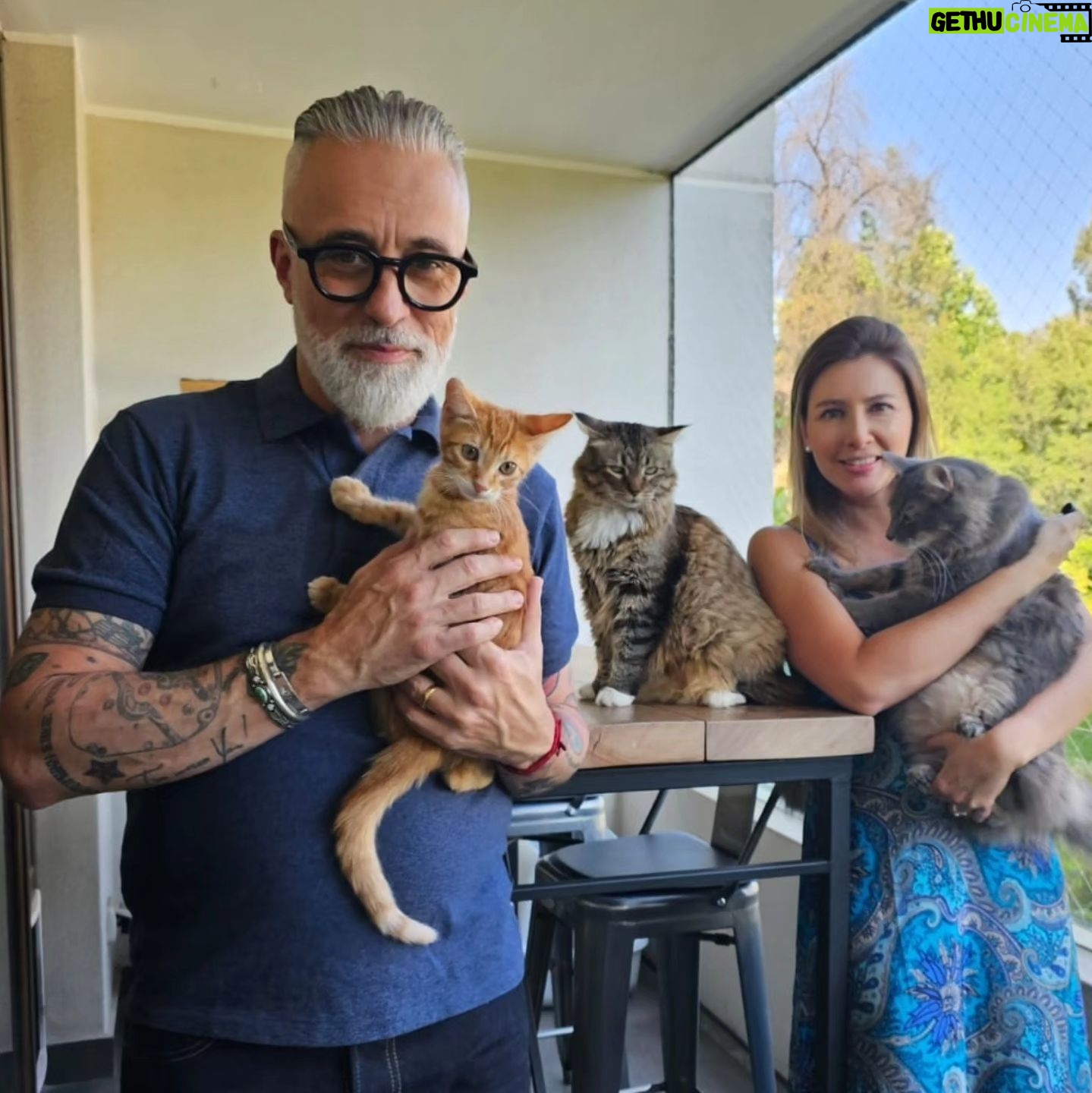 Sergi Arola - 6.9K Likes - Feliz #diadelgato a todas y todos!!!!
@fran_laree
#ramsesthecat
#lentesthecat
#guantesthecat