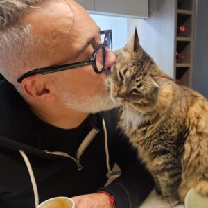 Sergi Arola Instagram - Feliz #diadelgato a todas y todos!!!!
@fran_laree 
#ramsesthecat 
#lentesthecat 
#guantesthecat