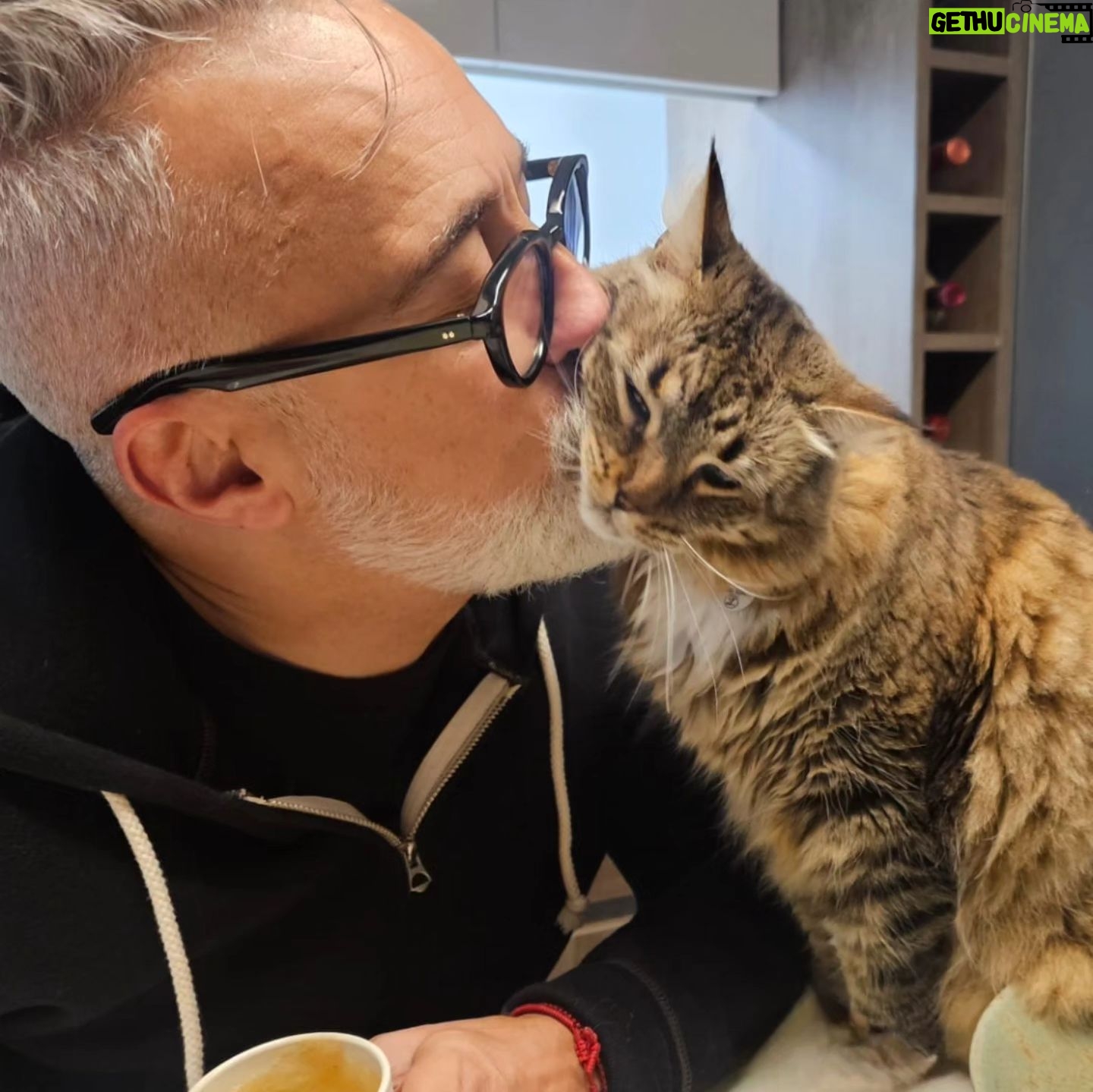 Sergi Arola - 6.9K Likes - Feliz #diadelgato a todas y todos!!!!
@fran_laree
#ramsesthecat
#lentesthecat
#guantesthecat
