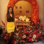 Shamlee