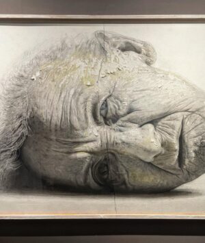 Shashank Arora Instagram - The painting in the last picture is by Jaime Valero. Oil on canvas.