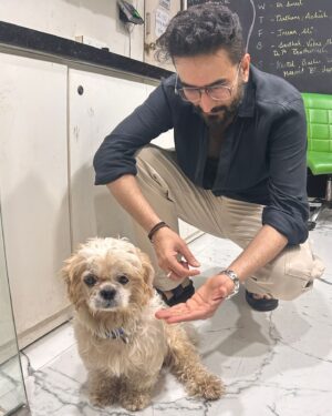 Shekhar Ravjiani Instagram - Shih Tzu named Damroo is a sweet 2 to 3 year-old who was heartlessly left behind by his previous owners, leaving him stressed and in need of a loving home. Despite his past, Damroo remains friendly with both cats and other dogs, showing his resilient and gentle nature. 

Damroo is currently being treated at the shelter for an ulcer in one eye, which will heal in about 7 days. He deserves a family that will cherish and care for him forever.

To give Damroo the loving home he deserves, please send a WhatsApp message to:
-  91 98913 26963
-  91 98190 08110

A special thank you to @shekharravjiani for being such a kind hearted soul and putting a word out for Damroo. We are extremely grateful to have you do this for us and are inspired by your pure compassion for animal welfare! ❤️✨

#YODA #YodaAnimalShelter #AdoptDontShop #RescueDog #AdoptDamroo #ShihTzuRescue #GiveLove #ForeverHome #AdoptMe #DogAdoption #RescueLove #YODARescue