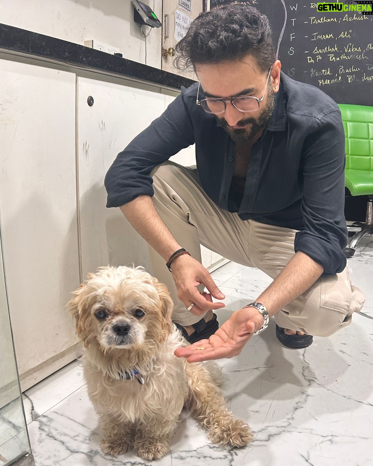 Shekhar Ravjiani - 2.1K Likes - Shih Tzu named Damroo is a sweet 2 to 3 year-old who was heartlessly left behind by his previous owners, leaving him stressed and in need of a loving home. Despite his past, Damroo remains friendly with both cats and other dogs, showing his resilient and gentle nature.
Damroo is currently being treated at the shelter for an ulcer in one eye, which will heal in about 7 days. He deserves a family that will cherish and care for him forever.
To give Damroo the loving home he deserves, please send a WhatsApp message to:
- 91 98913 26963
- 91 98190 08110
A special thank you to @shekharravjiani for being such a kind hearted soul and putting a word out for Damroo. We are extremely grateful to have you do this for us and are inspired by your pure compassion for animal welfare! ❤️✨
#YODA #YodaAnimalShelter #AdoptDontShop #RescueDog #AdoptDamroo #ShihTzuRescue #GiveLove #ForeverHome #AdoptMe #DogAdoption #RescueLove #YODARescue