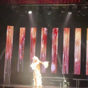 Sherry Vine Instagram - Last photo and video dump from @boylesquedragfestival in Berlin at the beautiful @wintergartenberlin . The show was sold out and so fun! Thanks @gregkiep for the video. Photo with @gloriaviagra and Jutta (I asked her NOT to get my feet! Lol)