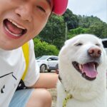 Shim Jin-hwa