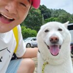 Shim Jin-hwa