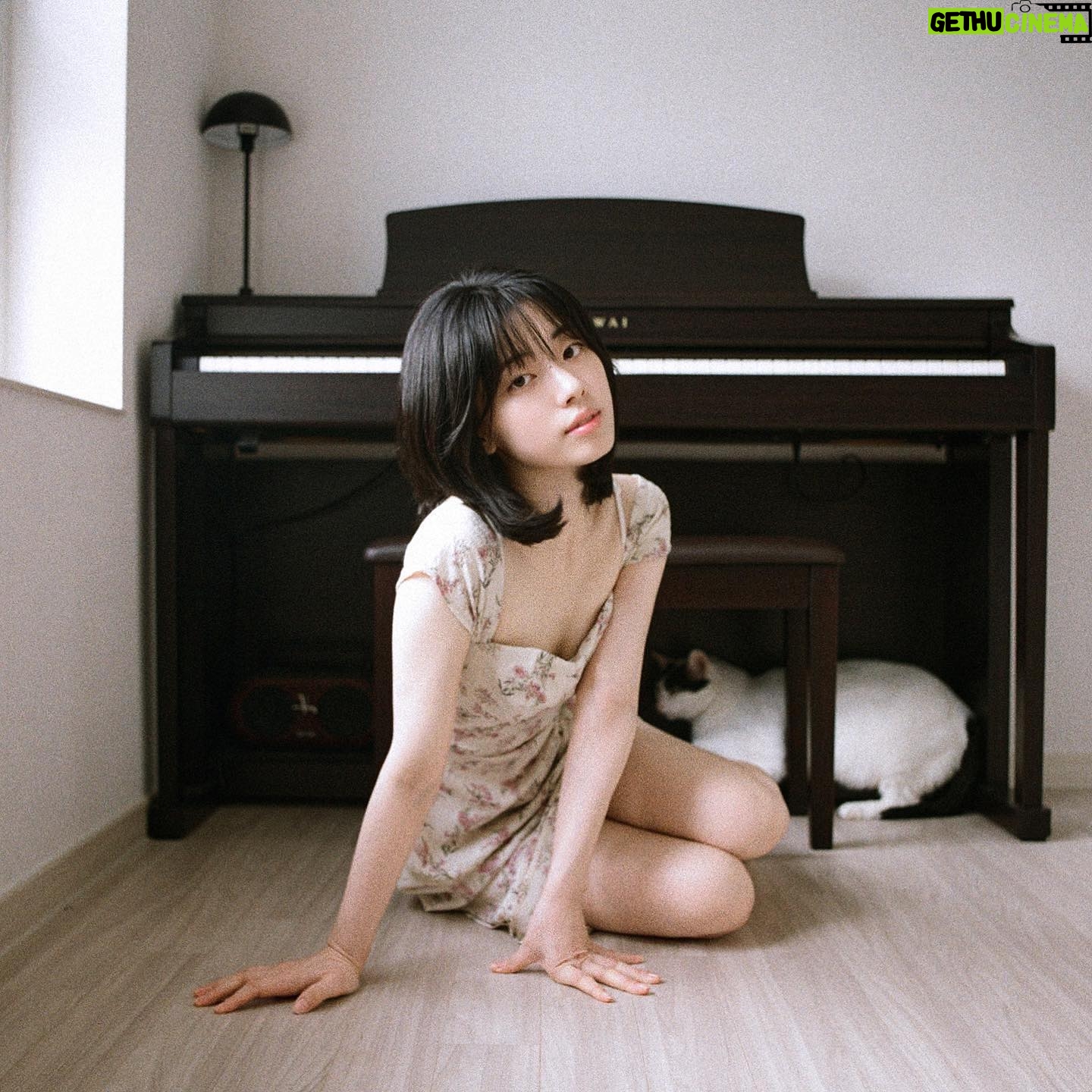 Shin Se-hwi - 25.1K Likes -