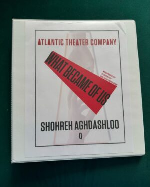 Shohreh Aghdashloo Instagram - Life can change in an instant. This play, “What Became Of Us,” tells a powerful story of love, loss, and the unexpected turns our journeys can take.

As an actress, this is my first time on the stage again since “The House of Bernarda Alba” in 2012. It’s an honor to return not just to any stage, but to one where I get to perform alongside the incredible Tony Shalhoub in a play that I’m absolutely in love with, directed by Jennifer Chang and written by Shayan Lotfi.

If you’re lucky enough to have tickets, cherish them. If not, I hope you can experience this powerful story soon.

زندگی می تواند در یک لحظه تغییر کند. این نمایشنامه، «چه بر سر ما آمد# داستانی قدرتمند از عشق است و از دست دادن و چرخش‌های غیرمنتظره‌ای را روایت می‌کند که سفر ما می‌تواند داشته باشد.

به عنوان یک بازیگر تیاتر این اولین بار است که بعد از «خانه برناردا آلبا» در سال 2012 دوباره روی صحنه بر میگردم. بازگشت نه تنها به هر صحنه‌ای، بلکه به صحنه‌ای که در کنار تونی شالهوب ایفای نقش می‌کنم باعث افتخار است. من عاشق این نمایش هستم.

اگر موفق به تهیه بلیط شده اید آن  را گرامی بدارید. اگر نه، امیدوارم بتوانیم در آینده نزدیک دوباره آن را به صحنه بیاوریم تا به زودی این داستان قدرتمند را تجربه کنی.

#WhatBecameOfUs #AtlanticTheaterCompany #NYCTheater